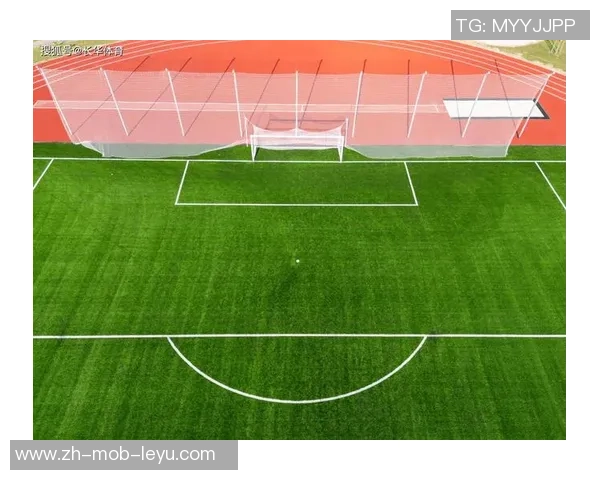 室内足球场设计与建设的基本要求及注意事项解析